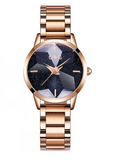 Women's WatchFull Of Star black large dial Stainless Steel strap elegant watch