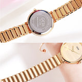 Simple Dial Without Scale Women's Watch