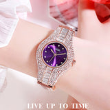 Full of Diamond Shining Women's Watch