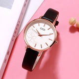 Simple Scale Leisure Quartz Women's Watch