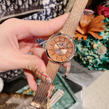 Shining Dial Mesh Strap Women's Wristwatch