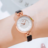 Fashionable retro large dial leisure waterproof women's Watch